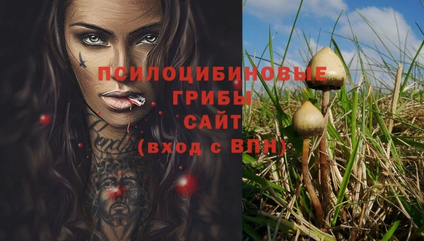 дживик Вязьма