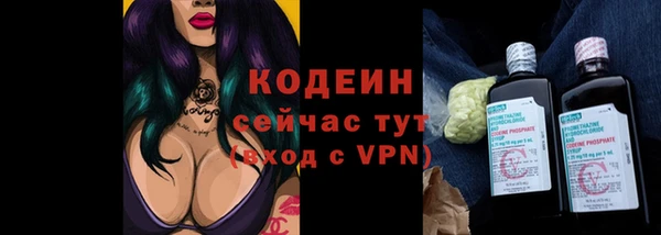 шишки Вяземский