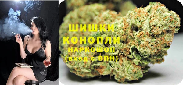шишки Вяземский