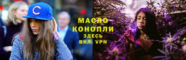 шишки Вяземский