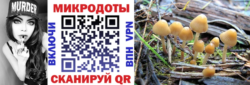 купить наркотик  darknet как зайти  Псилоцибиновые грибы Psilocybine cubensis  Дивногорск  omg  